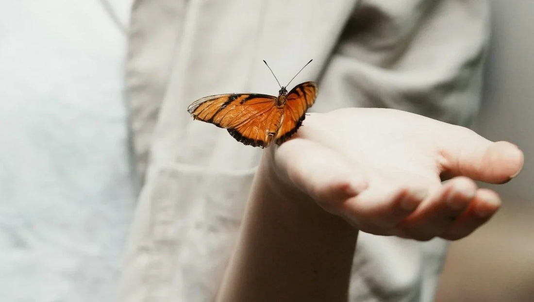 Finding Fulfilment in Letting Go: Embracing the Moment