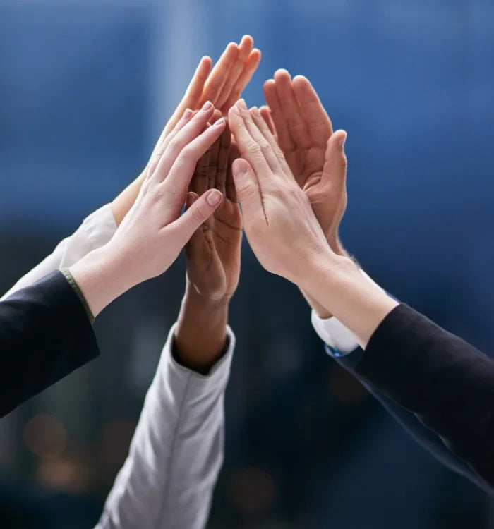 The Transformative Effects of Leadership Development Coaching