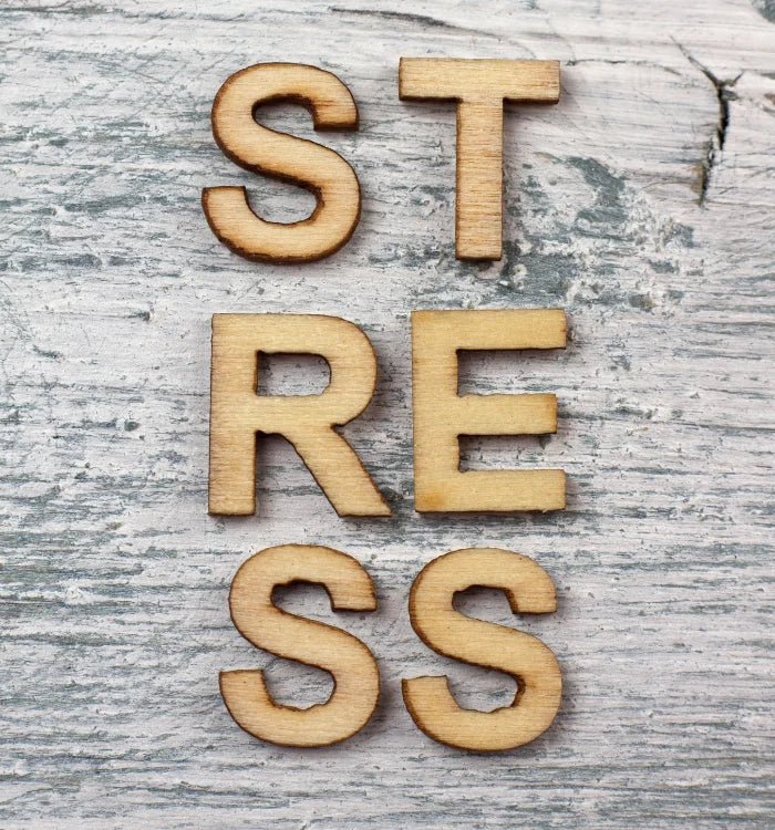 When to Consider Stress Management Coaching