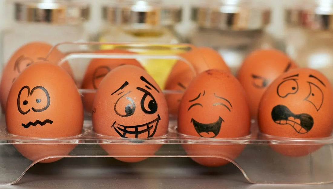 Emotional Regulation vs Emotional Suppression